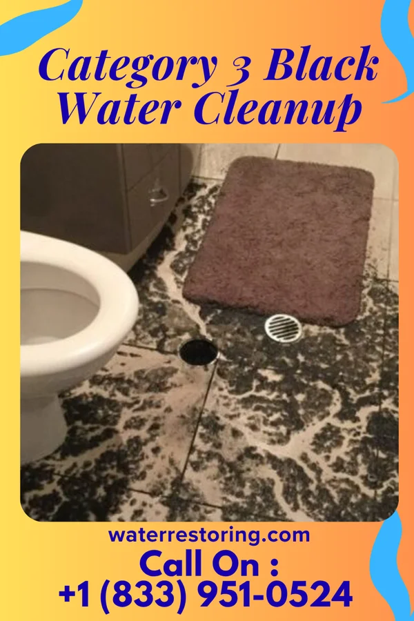 Category 3 Black Water Cleanup in West Pocomoke, MD