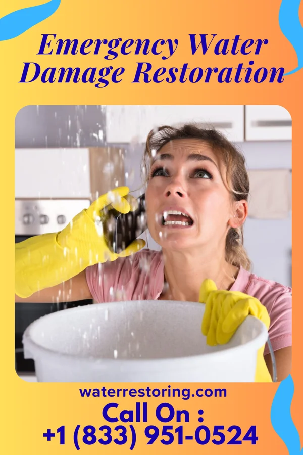 Emergency Water Damage Restoration in West Pocomoke, MD