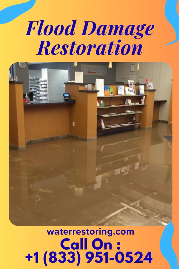 Flood Damage Restoration in West Pocomoke, MD