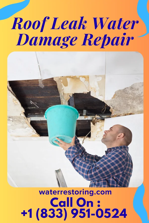 Roof Leak Water Damage Repair in West Pocomoke, MD