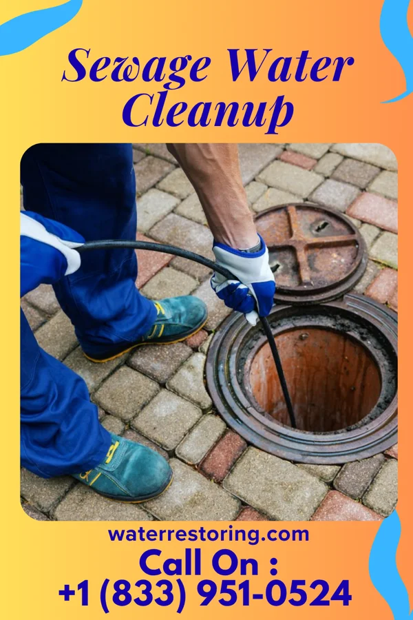 Sewage Water Cleanup in West Pocomoke, MD