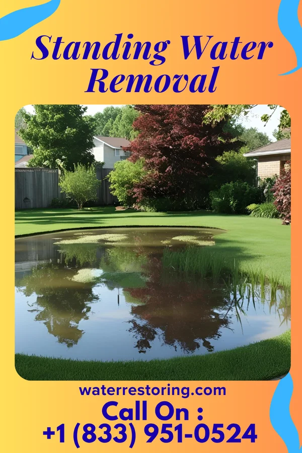 Standing Water Removal in West Pocomoke, MD